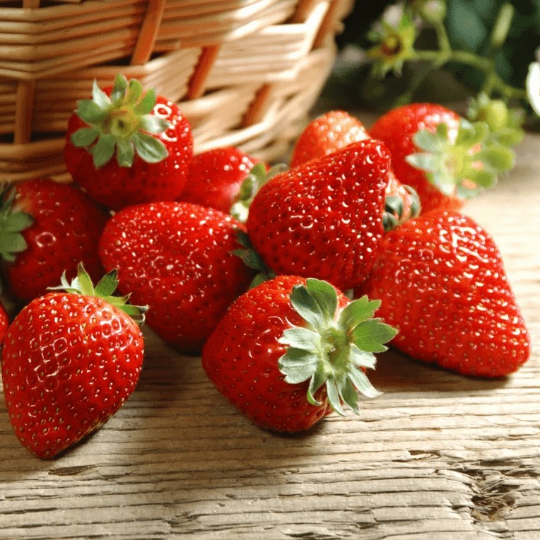 Клубника Донна